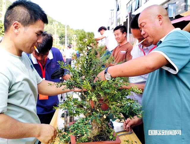 “美满中秋，欢乐国庆”——龙里县盆景艺术交流活动隆重举行