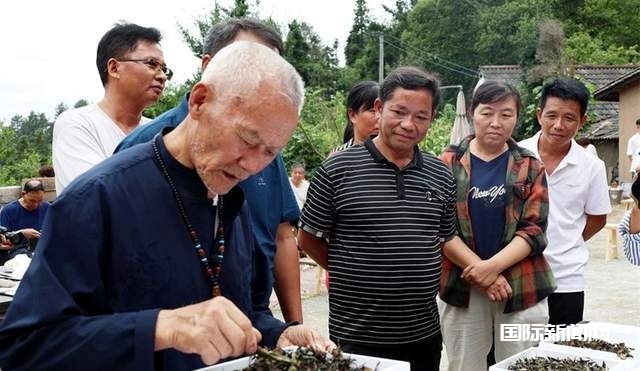 古道寻印象，茶韵避酷暑——金沙清池印象茶庄举办雅集活动