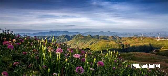 寻美毕节：韭菜花开，紫色梦境的浪漫邀约