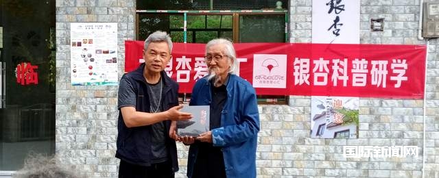 贵州白云牛场石龙村：探秘千年古银杏，领略民族文化之美