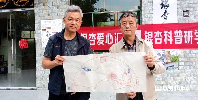 贵州白云牛场石龙村：探秘千年古银杏，领略民族文化之美